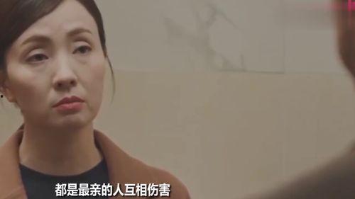 陶虹爆料黄磊完整视频,完整视频曝光惊人内幕！